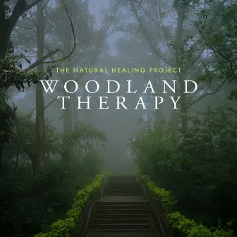 Woodland Therapy by Unknown Artist