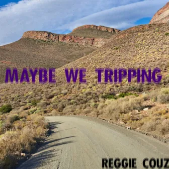 Maybe We Tripping by Reggie Couz