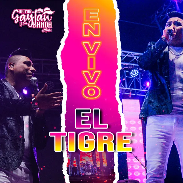 El tigre - En Vivo