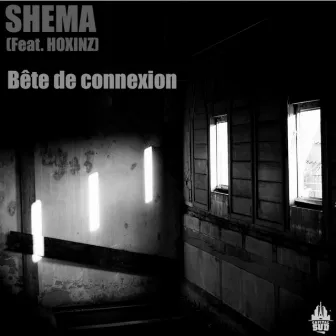 Bête de connexion by Shema