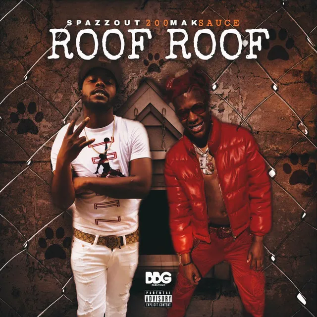 Roof Roof