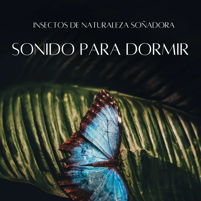 Insectos De Naturaleza Soñadora: Sonido Para Dormir