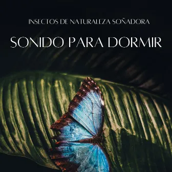 Insectos De Naturaleza Soñadora: Sonido Para Dormir by Grillos nocturnos