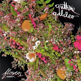 Flowers (Remix) by Guthrie Galileo