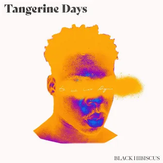 Tangerine Days by Black Hibiscus