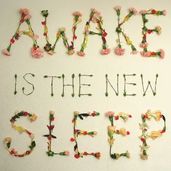 Awake Is the New Sleep by Ben Lee