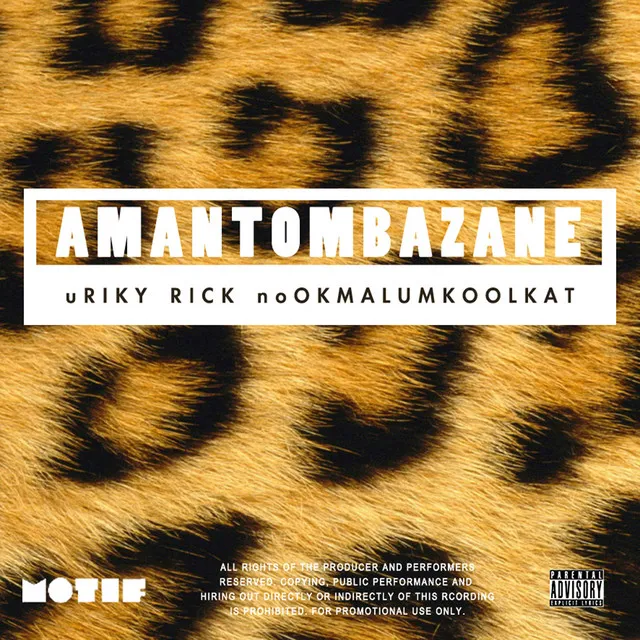 Amantombazane (feat. OkMalumKoolKat)