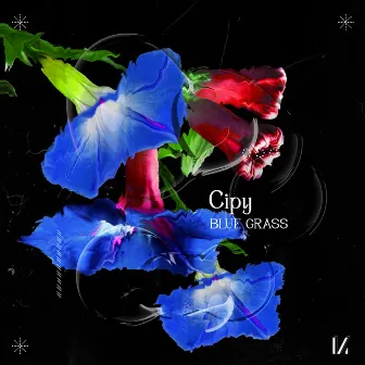 Blue Grass by Cipy