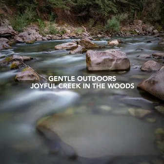 Joyful Creek in the Woods by Gentle Outdoors