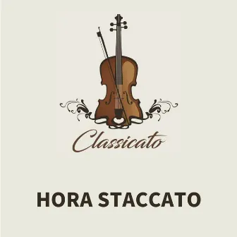 Hora Staccato by Grigoras Dinicu