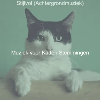 Stijlvol (Achtergrondmuziek) by Muziek voor Katten Stemmingen