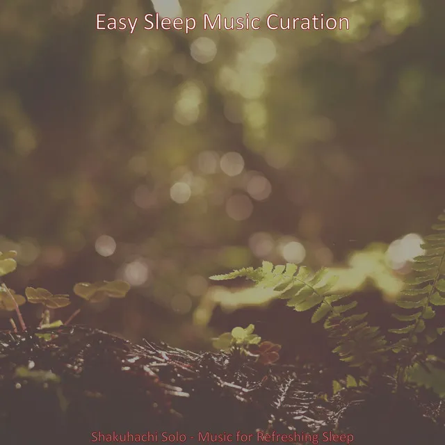 Shakuhachi Solo - Music for Refreshing Sleep