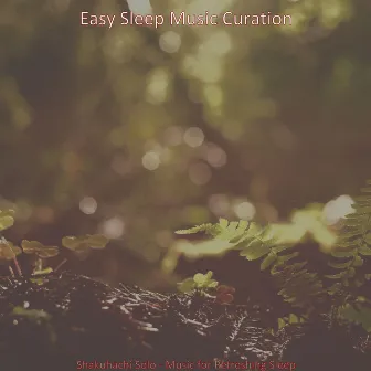 Shakuhachi Solo - Music for Refreshing Sleep by 