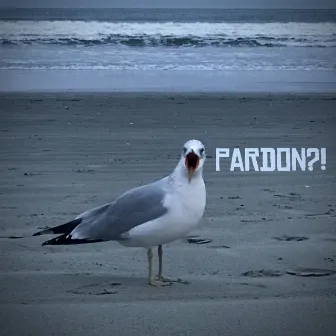 Pardon?! by Jamro