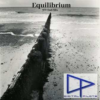 Equilibrium by Digital Pilots