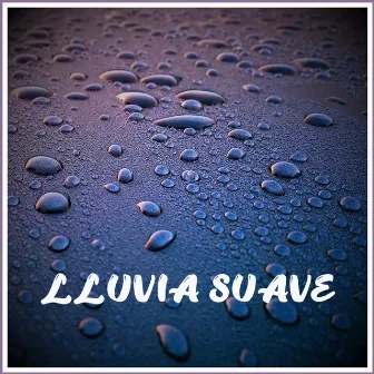 Lluvia Suave by Sonido Ambiente