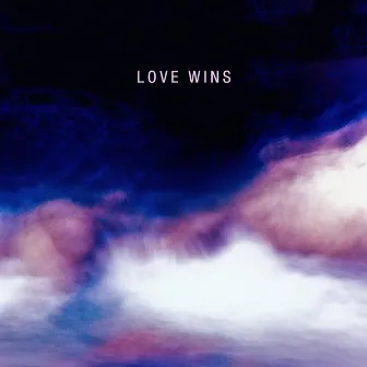 Love Wins by Stefano Senni