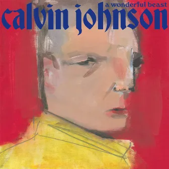 Like You Do by Calvin Johnson