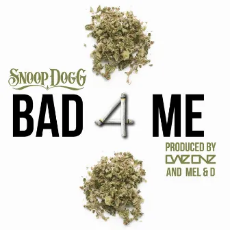 Bad 4 Me (feat. Snoop Dogg) by Dae One