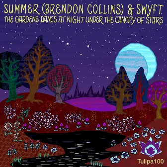 The Gardens Dance At Night Under The Canopy Of Stars by Summer (Brendon Collins)