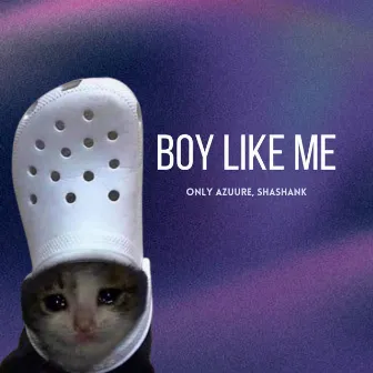 Boy Like Me by Shashank