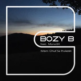 Mám Chuť Se Proletět by Bozy B