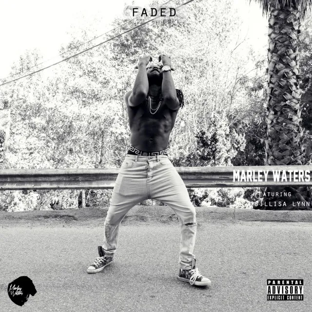 Faded (feat. Jillisa Lynn)