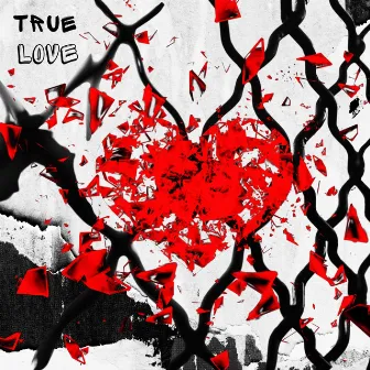 True Love by Elle McAndrews