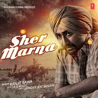 Sher Marna by Desi Routz