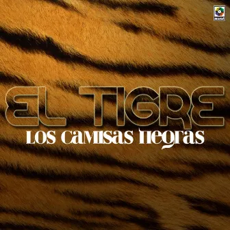 El Tigre by Los Camisas Negras