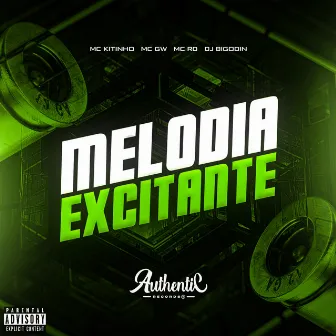 Melodia Excitante by Dj Bigodin