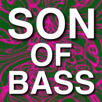 Son of a Bass（2021） by ZhangZe