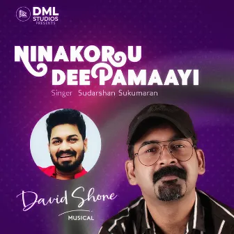 Ninakoru Deepamaayi by Rajeev Alunkal