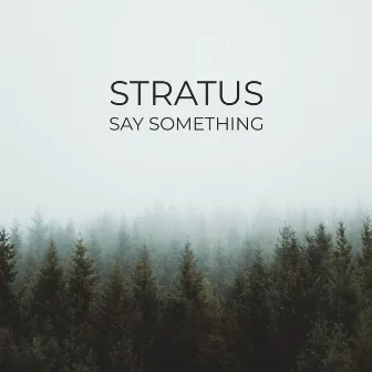 Say Something by Stratus