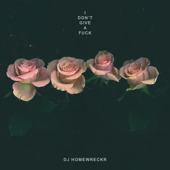 I Don't Give a Fuck by DJ Homewreckr