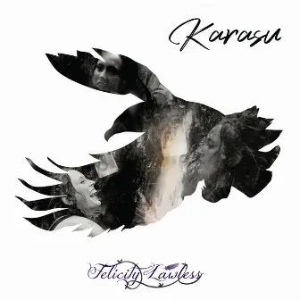 Karasu by Felicity Lawless