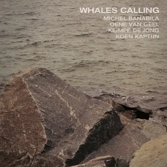 Whales Calling by Oene van Geel