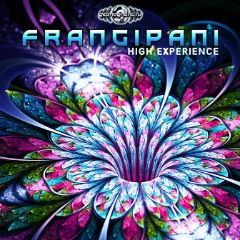 High Experience by Frangipani