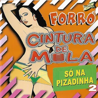 Só na Pizadinha, Vol. 2 2 by Forró Cintura de Mola