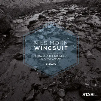 Wingsuit by Nils Mohn