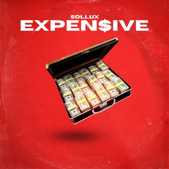 Expen$ive by Sollux