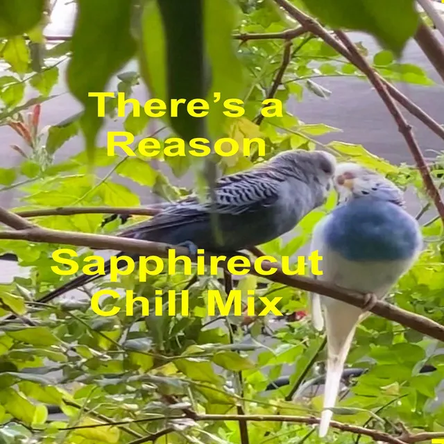 There's a Reason - Sapphirecut Chill Mix