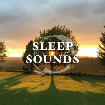 Sleep Sounds - Relaxing Sounds for Sleeping by Sleep Melodies