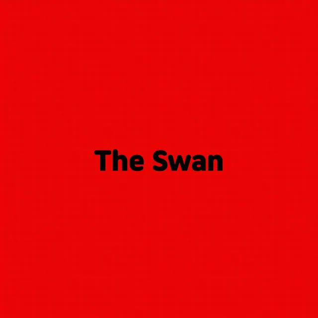 The Swan