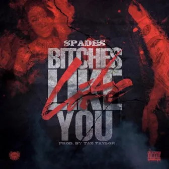 Bitches Like You by Spades