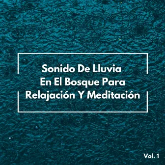 Sonido De Lluvia En El Bosque Para Relajación Y Meditación Vol. 1 by Relajación Lluvia Meditación