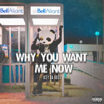 Why You Want Me Now by Icey Da Boss