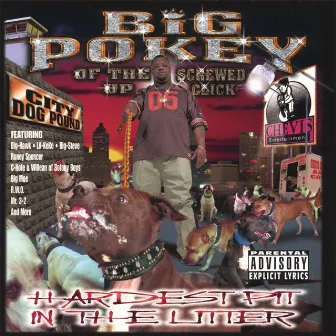 Hardest Pit In The Litter by Big Pokey