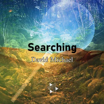 Searching by David Michael