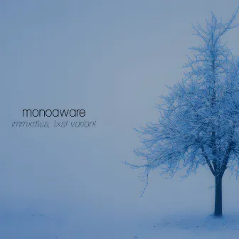 Monoaware by lxst variant